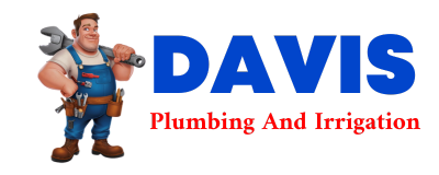 Trusted plumber in DE LEON SPRINGS